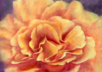 Golden Frill 50 x 50cm