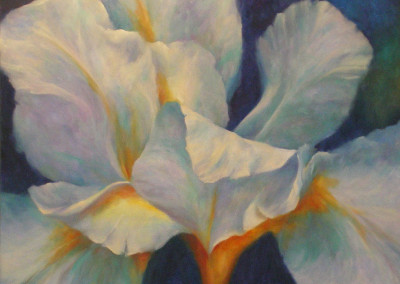 Iris No 2 - 76 x 76cm