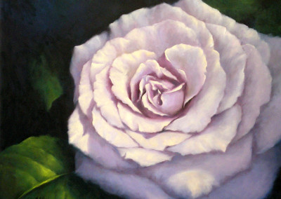 Lilac Rose with Leaf 70 x 82cm