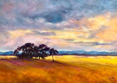 Canola Crop 92 x 60cm