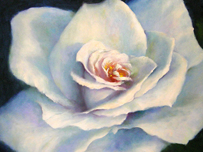 Grampians Art Spring Daisies