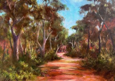 Greens Creek Road, The Grampians 76cm x 50cm